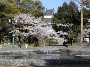 津城の桜