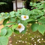 河芸の古刹