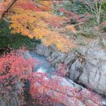 ふるさとの紅葉