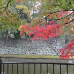 津市内の紅葉