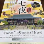 今年のお七夜